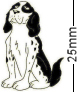 Springer Spaniel Dog Black Badge