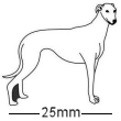 Greyhound Dog Badge White