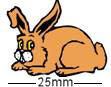Long Eared Rabbit Badge